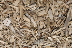 biomass boilers Bedstone